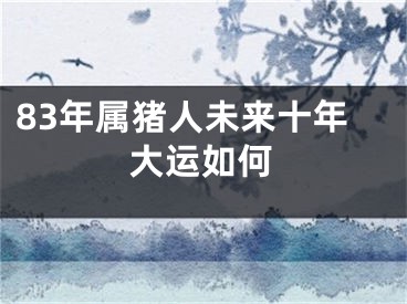 83年属猪人未来十年大运如何