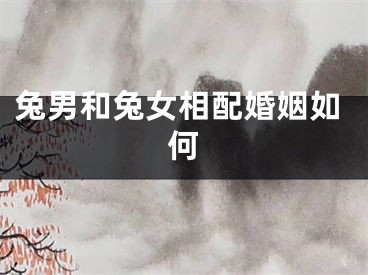 兔男和兔女相配婚姻如何