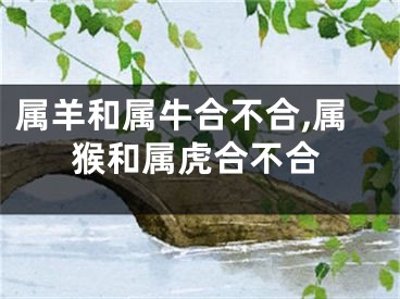 属羊和属牛合不合,属猴和属虎合不合