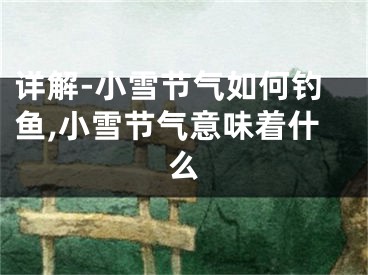 详解-小雪节气如何钓鱼,小雪节气意味着什么