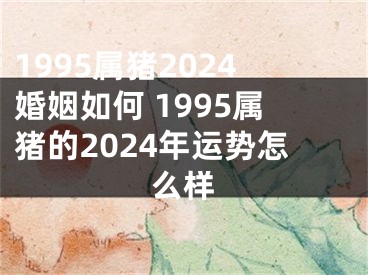 1995属猪2024婚姻如何 1995属猪的2024年运势怎么样