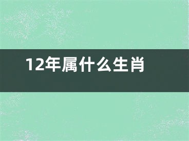12年属什么生肖