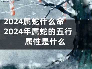 2024属蛇什么命 2024年属蛇的五行属性是什么