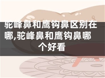 驼峰鼻和鹰钩鼻区别在哪,驼峰鼻和鹰钩鼻哪个好看