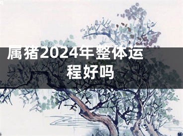 属猪2024年整体运程好吗