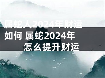 属蛇人2024年财运如何 属蛇2024年怎么提升财运