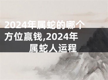 2024年属蛇的哪个方位赢钱,2024年属蛇人运程
