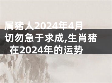 属猪人2024年4月切勿急于求成,生肖猪在2024年的运势
