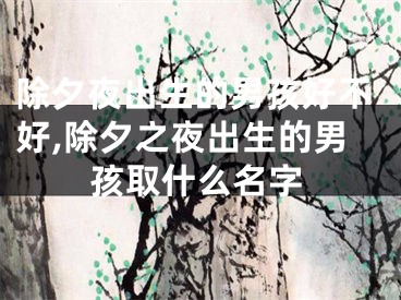 除夕夜出生的男孩好不好,除夕之夜出生的男孩取什么名字