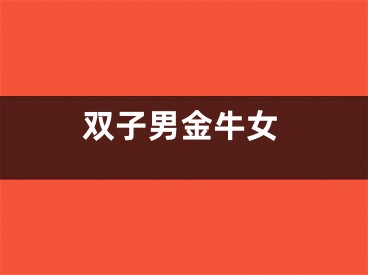 双子男金牛女