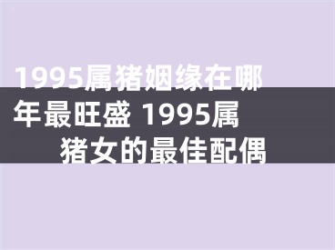 1995属猪姻缘在哪年最旺盛 1995属猪女的最佳配偶