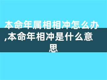 本命年属相相冲怎么办,本命年相冲是什么意思