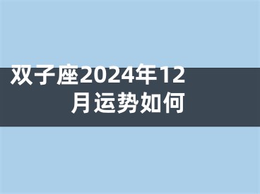 双子座2024年12月运势如何