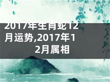 2017年生肖蛇12月运势,2017年12月属相