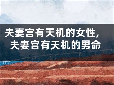 夫妻宫有天机的女性,夫妻宫有天机的男命