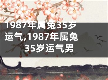 1987年属兔35岁运气,1987年属兔35岁运气男
