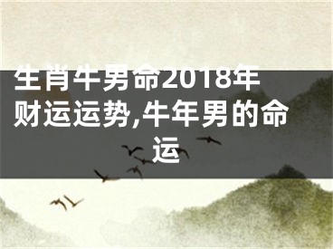 生肖牛男命2018年财运运势,牛年男的命运