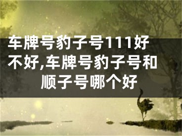 车牌号豹子号111好不好,车牌号豹子号和顺子号哪个好