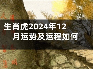生肖虎2024年12月运势及运程如何