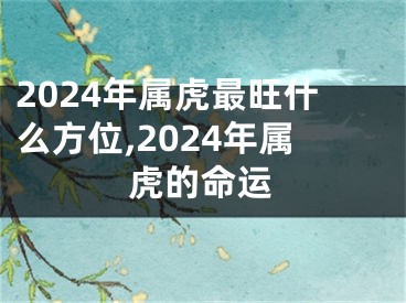 2024年属虎最旺什么方位,2024年属虎的命运