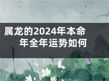 属龙的2024年本命年全年运势如何