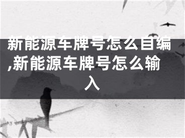 新能源车牌号怎么自编,新能源车牌号怎么输入