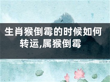 生肖猴倒霉的时候如何转运,属猴倒霉