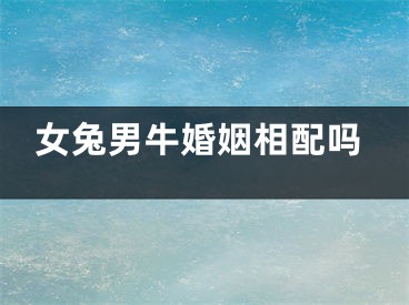 女兔男牛婚姻相配吗