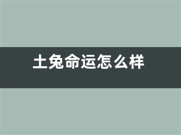 土兔命运怎么样