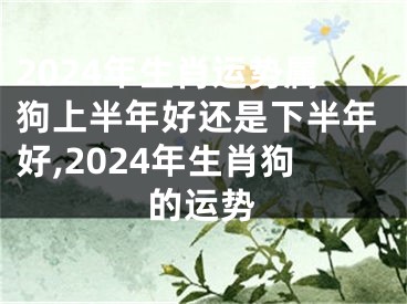 2024年生肖运势属狗上半年好还是下半年好,2024年生肖狗的运势