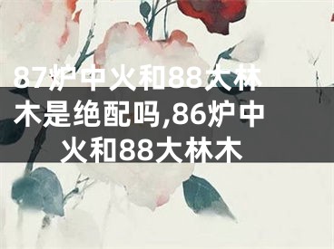 87炉中火和88大林木是绝配吗,86炉中火和88大林木