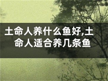 土命人养什么鱼好,土命人适合养几条鱼