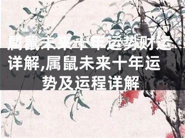 属鼠未来十年运势财运详解,属鼠未来十年运势及运程详解
