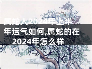属蛇人2024年上半年运气如何,属蛇的在2024年怎么样