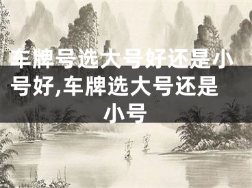 车牌号选大号好还是小号好,车牌选大号还是小号