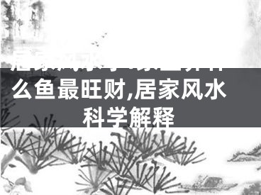 居家风水学:家里养什么鱼最旺财,居家风水科学解释