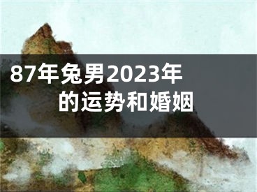 87年兔男2023年的运势和婚姻