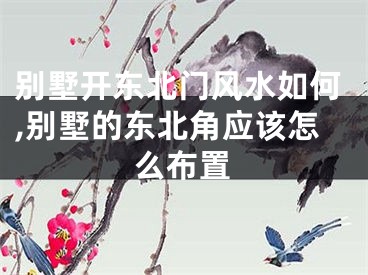 别墅开东北门风水如何,别墅的东北角应该怎么布置