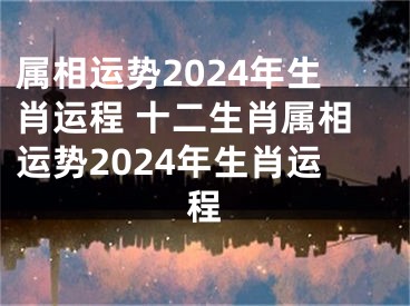 属相运势2024年生肖运程 十二生肖属相运势2024年生肖运程