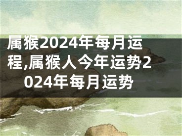 属猴2024年每月运程,属猴人今年运势2024年每月运势