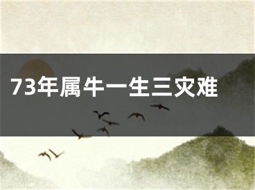 73年属牛一生三灾难