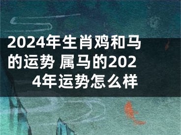 2024年生肖鸡和马的运势 属马的2024年运势怎么样