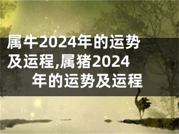 属牛2024年的运势及运程,属猪2024年的运势及运程