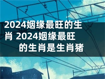 2024姻缘最旺的生肖 2024姻缘最旺的生肖是生肖猪