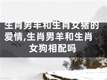 生肖男羊和生肖女猪的爱情,生肖男羊和生肖女狗相配吗