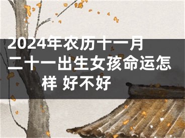 2024年农历十一月二十一出生女孩命运怎样 好不好 