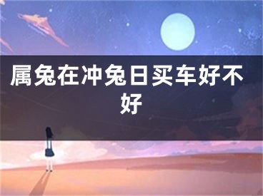 属兔在冲兔日买车好不好