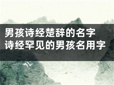 男孩诗经楚辞的名字 诗经罕见的男孩名用字