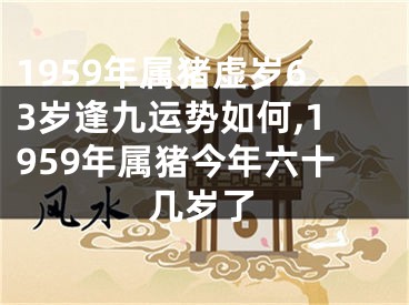 1959年属猪虚岁63岁逢九运势如何,1959年属猪今年六十几岁了