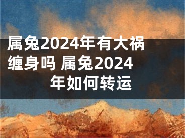 属兔2024年有大祸缠身吗 属兔2024年如何转运